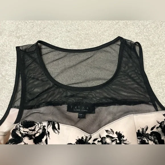 Baby Pink and Black Rosette Mesh Dress - Picture 4 of 6